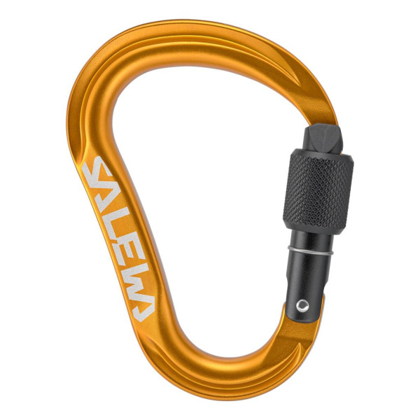Salewa ORTLES HMS Karabiner