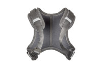 Grey Mouse