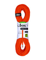 SOLID ORANGE SOLID ORANGE