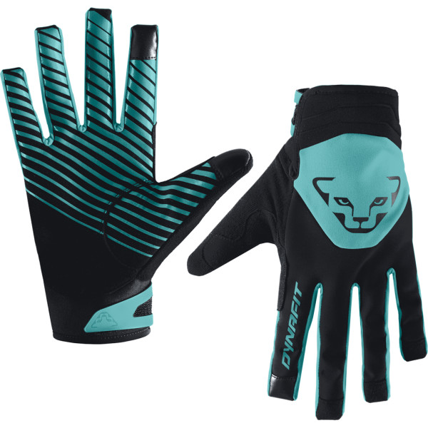 Dynafit Radical 2 Handschuhe in türkis schwarz
