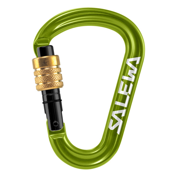 Salewa HMS Pro Karabiner Gruen