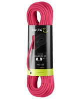 242/pink 242/pink
