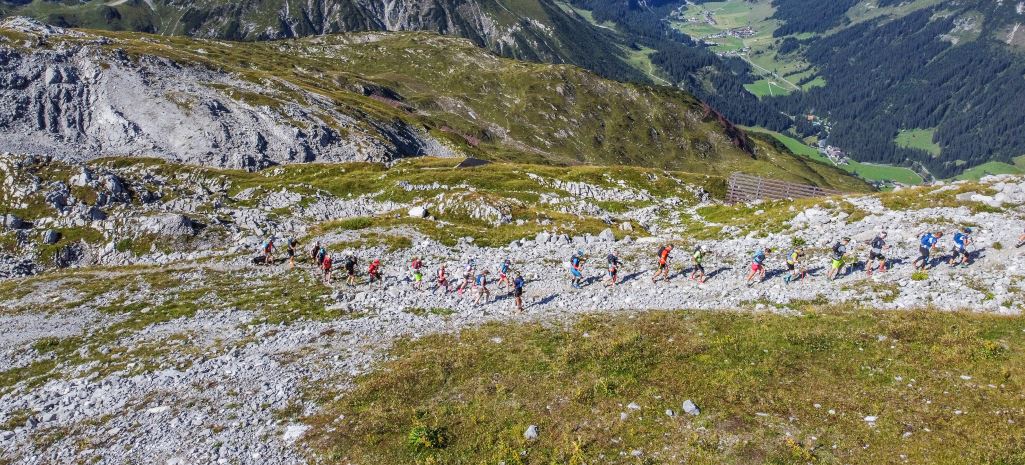 transalpine